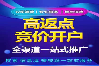 竞价排名中的关键词选择案例解析