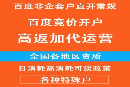 案例分析：竞价代运营如何实现精准用户定位
